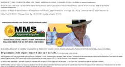 Desktop Screenshot of mmscolombia.com
